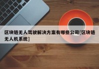 区块链无人驾驶解决方案有哪些公司[区块链无人机系统]