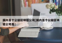 国内首个公益区块链公司[国内首个公益区块链公司是]